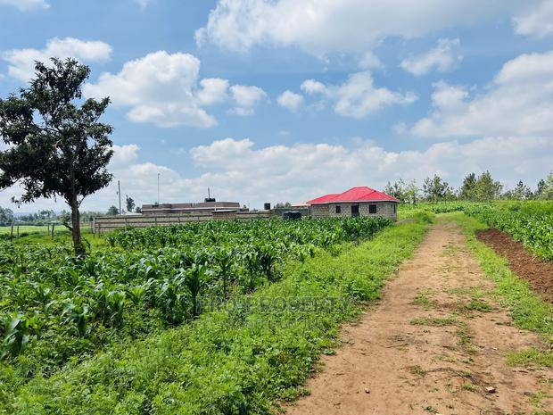 Prime Residential 50x100 Plots for Sale in Kikuyu,Kamangu.