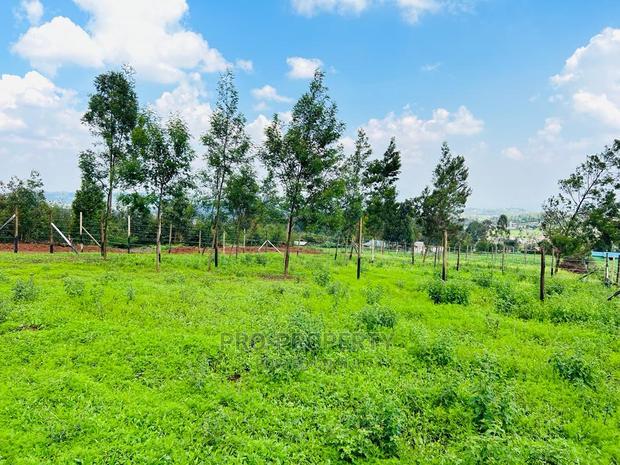 Prime 1/8 Acre Residential Plots for Sale in Kikuyu, Kamangu