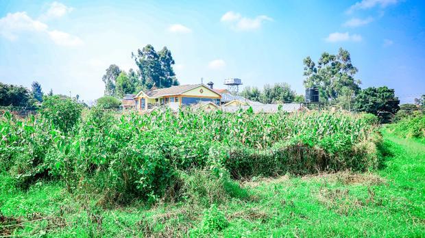 Prime Commercial 1/8 Acre Plot in Kikuyu, Sigona - Zambezi