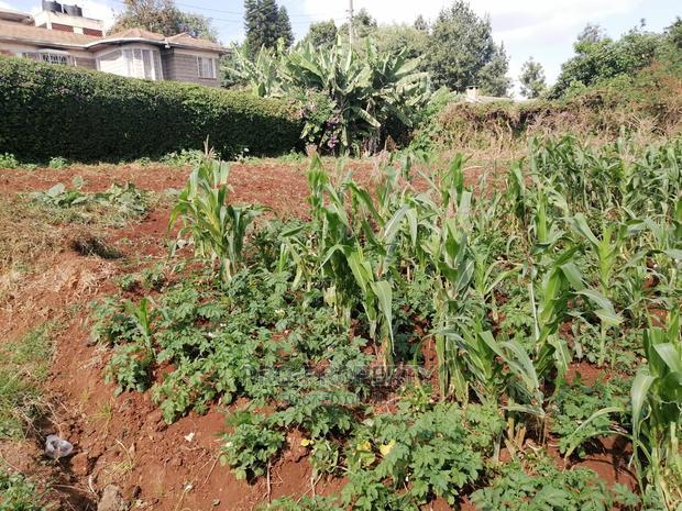 Prime 0.05 Ha Commercial Plot for Sale in Kikuyu Town.