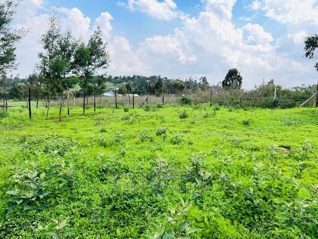 Prime 1/8 Acre Residential Plots for Sale in Kikuyu, Kamangu