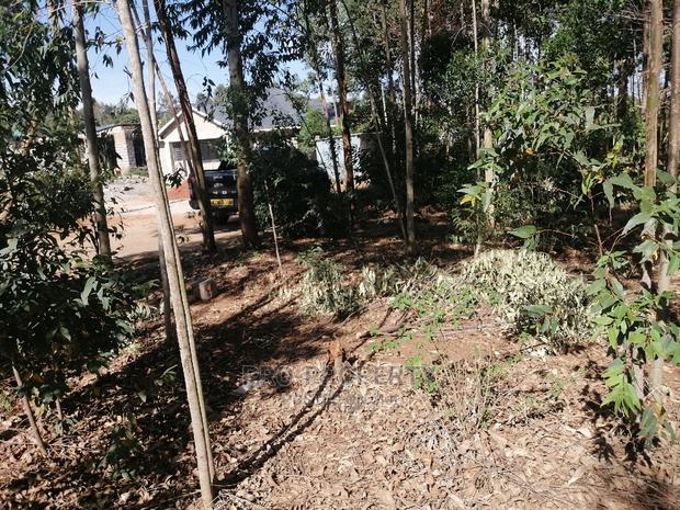Prime 50x100ft for Sale in Kikuyu, Kamangu.