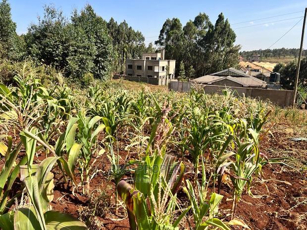 100 X 100ft Plot for Sale in Kikuyu, Ondiri.