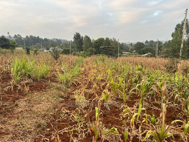 Prime Residential Plot for Sale in Kikuyu Kamangu (Migumoini