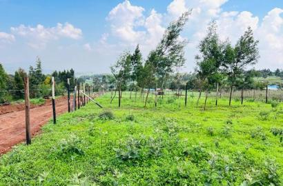 Prime 1/8 Acre Residential Plots for Sale in Kikuyu, Kamangu