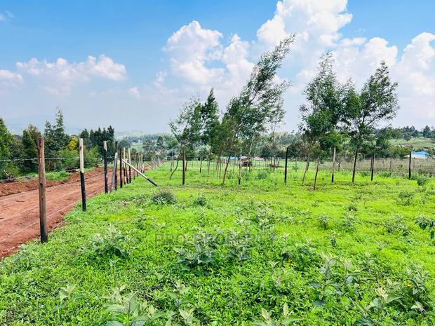 Prime 1/8 Acre Residential Plots for Sale in Kikuyu, Kamangu