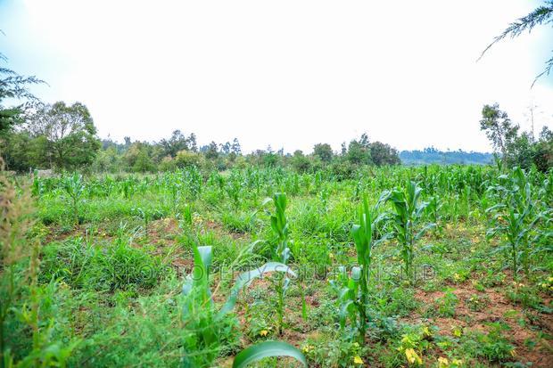 Prime Residential Plot For Sale In Kikuyu, Kamangu