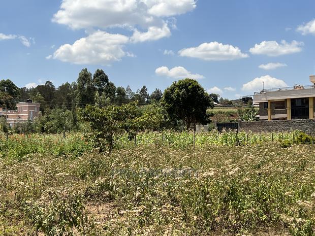 Prime Plot in Gikambura