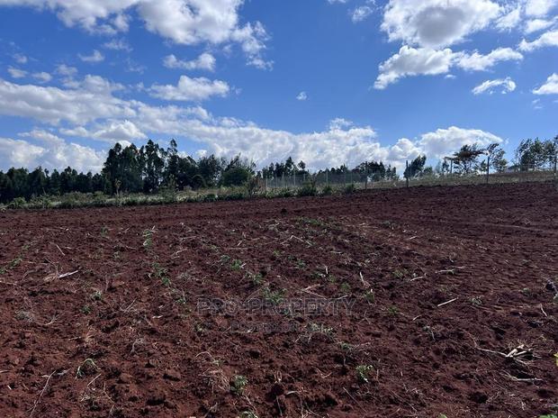 Prime 50 By 100fts Residential Plot In Kikuyu, Kamangu.