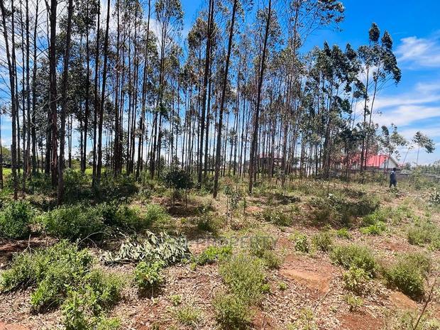 50 X 100fts Plots for Sale in Kikuyu, Gikambura.