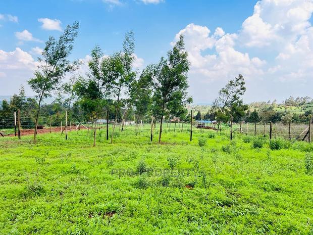 Prime 1/8 Acre Residential Plots for Sale in Kikuyu, Kamangu