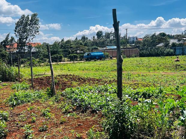 Prime Residential Plot for Sale in Kikuyu ,Gikambura.