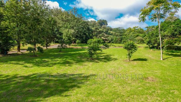 1/4 Acre Plots For Sale In Ngong (TULIVU ESTATE)