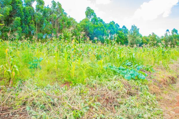 Prime Residential Plots For Sale In Gikambura, Jambu TV.