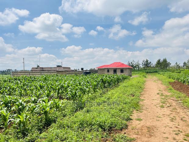 Prime Residential 50x100 Plots for Sale in Kikuyu,Kamangu.
