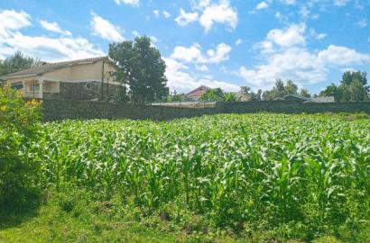 1/4 Acre Plot for Sale in Olive Inn Estate, Nakuru, Kiamunyi