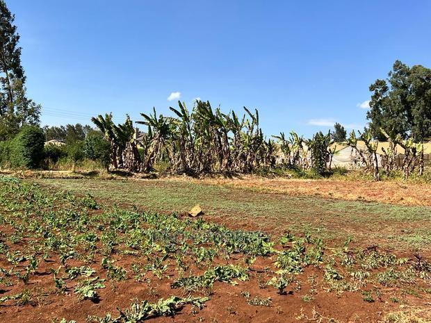 100 X 100ft Residential Plot For Sale In Kikuyu, Ondiri.