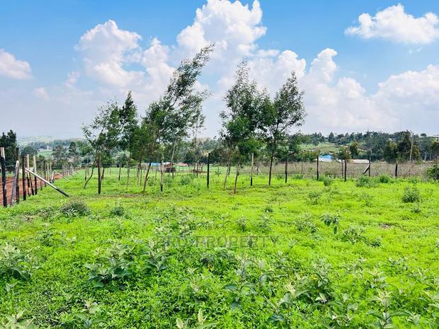 Prime 1/8 Acre Residential Plots for Sale in Kikuyu, Kamangu