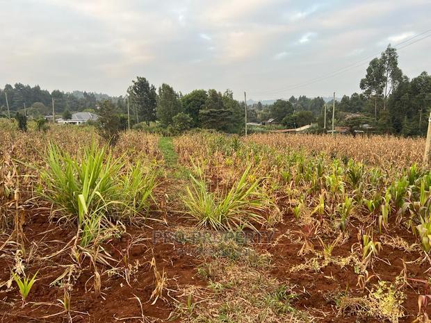 Prime Residential Plot for Sale in Kikuyu Kamangu (Migumoini
