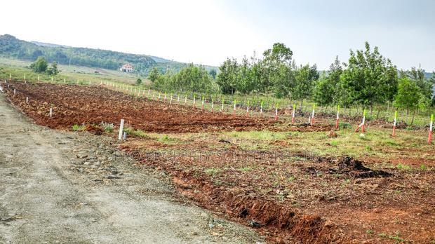 Residential Serviced Plots for Sale in Kikuyu, Nachu