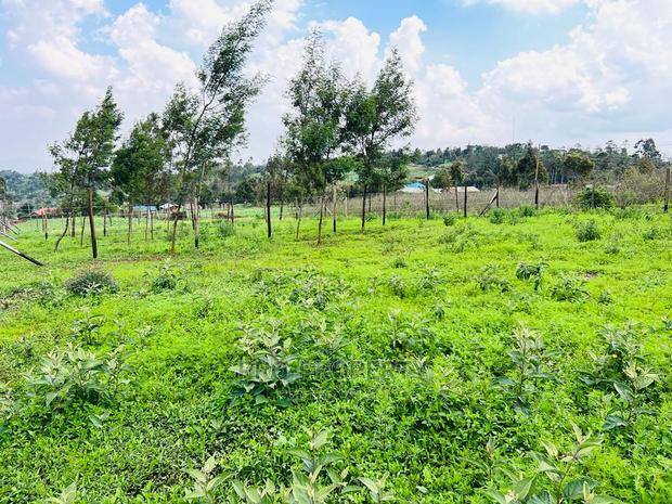 Prime 1/8 Acre Residential Plots for Sale in Kikuyu, Kamangu