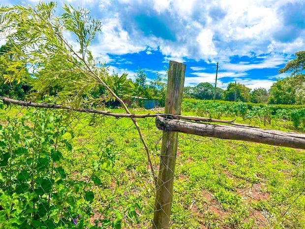 Prime Plot for Sale in Kikuyu,Kamangu