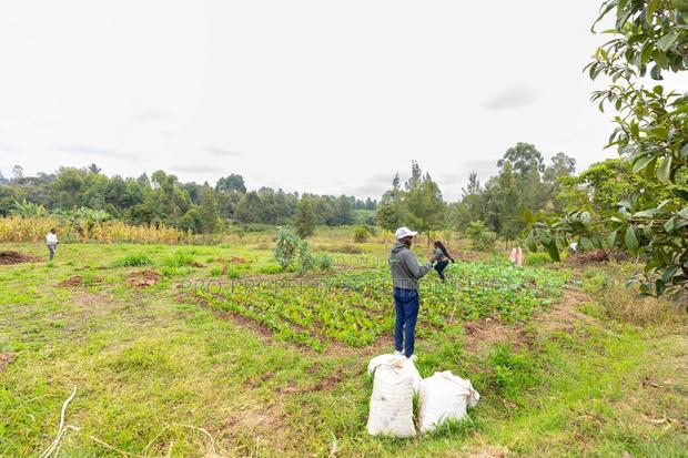 Prime Residential Plots for Sale in Kikuyu, Mai-Ii-Ihii