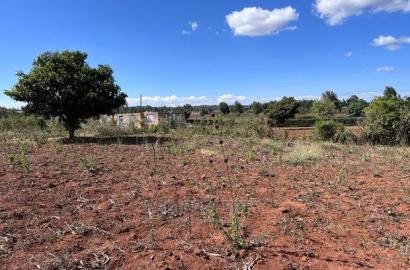 Prime 50 By 100fts Residential Plot In Kikuyu, Kamangu.