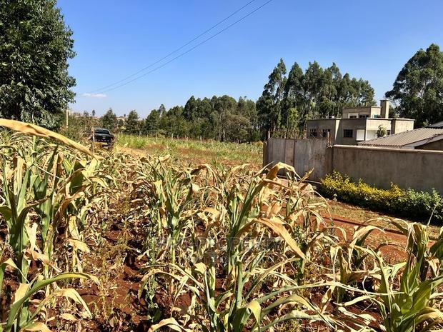 100 X 100ft Plot for Sale in Kikuyu, Ondiri.