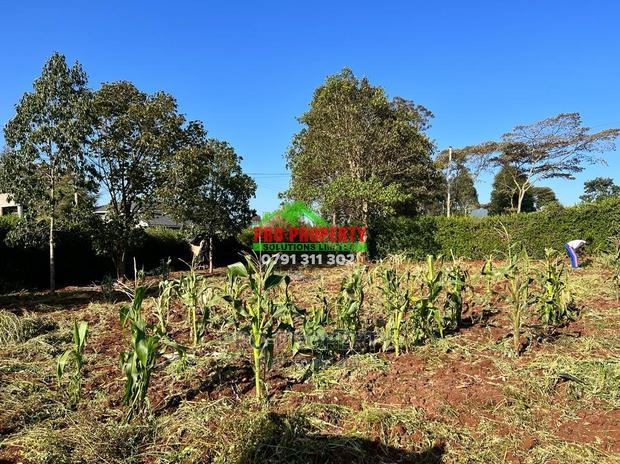 Prime Residential Plots for Sale in Kikuyu, Gikambura.