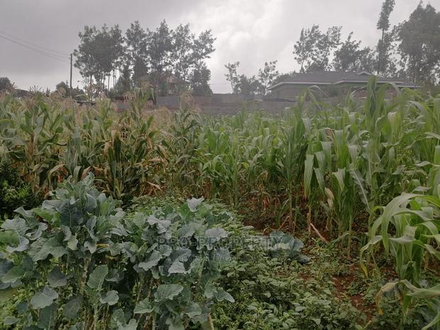 Plot in Kikuyu, Gikambura.