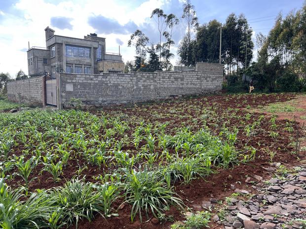 Prime Residential Plot for Sale in Kikuyu,Gikambura.