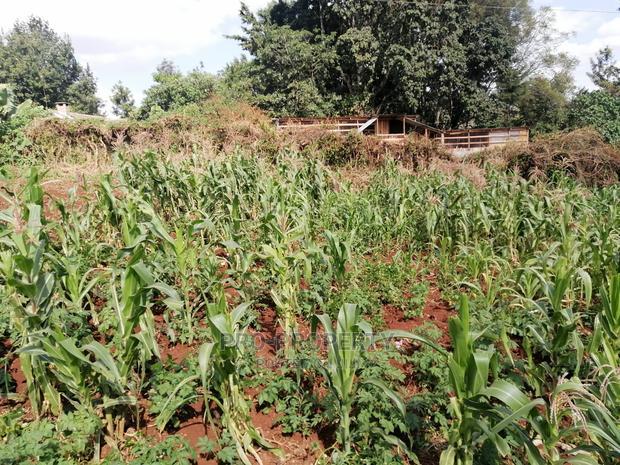 Prime 0.05 Ha Commercial Plot for Sale in Kikuyu Town.