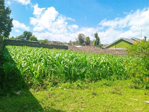 1/4 Acre Plot for Sale in Olive Inn Estate, Nakuru, Kiamunyi