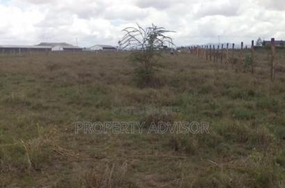 1.25 Acre Land Plot in Muranga Near Mima Gardens
