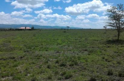 Utawala Zebra Plots for Sale