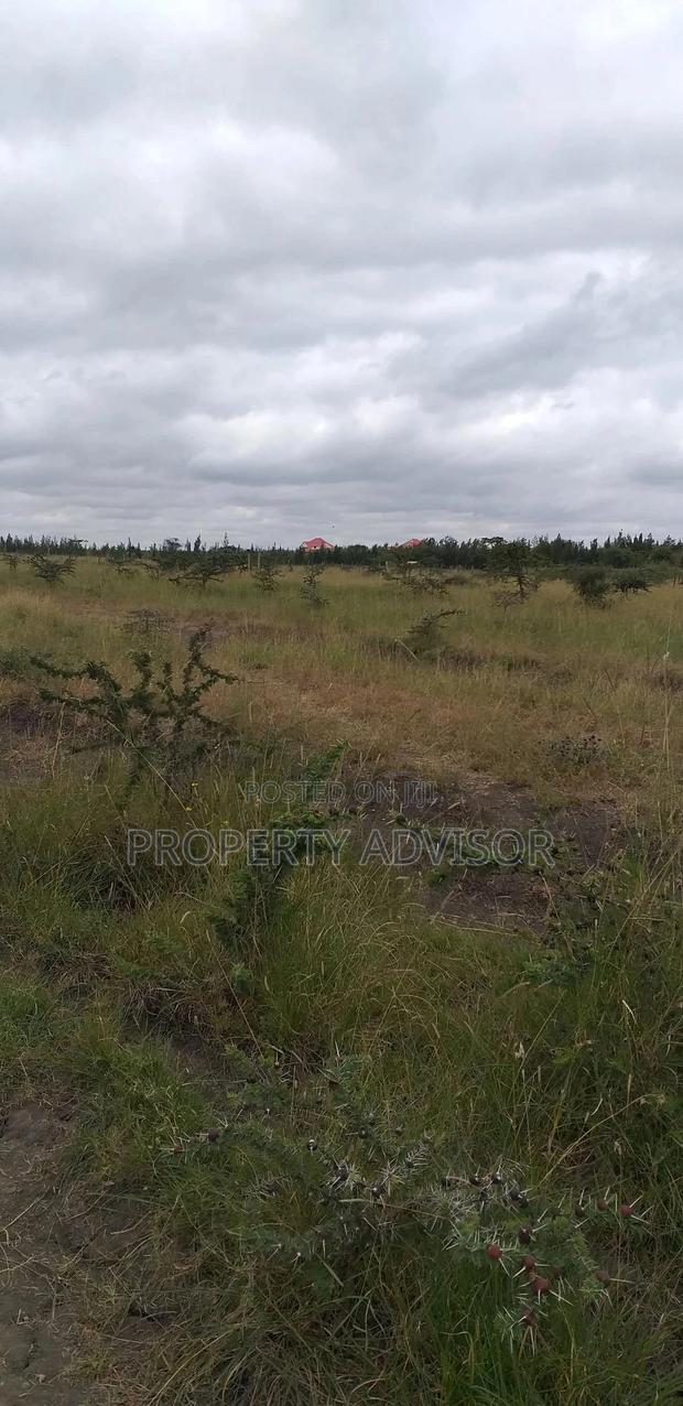 Kitengela Plains for Sale ,50 by 100 Plots ,In Kitengela