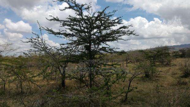 Syokimau Katani Road Plots for Sale