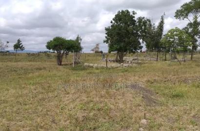 Buy and Build 1/4 Acre Plot in Milimani in Kitengela