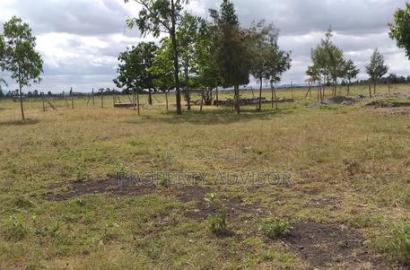 Shamba Ya Kuuzwa Kitengela Milimani Kitengela 13