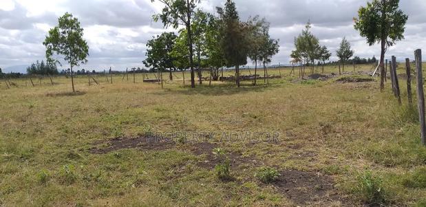 Shamba Ya Kuuzwa Kitengela Milimani Kitengela 13