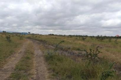 Kitengela Plains for Sale ,50 by 100 Plots ,In Kitengela