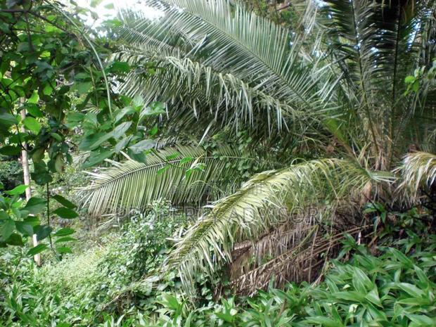 1 Acres Vacant Land for Sale in Kilimani (Kenya)