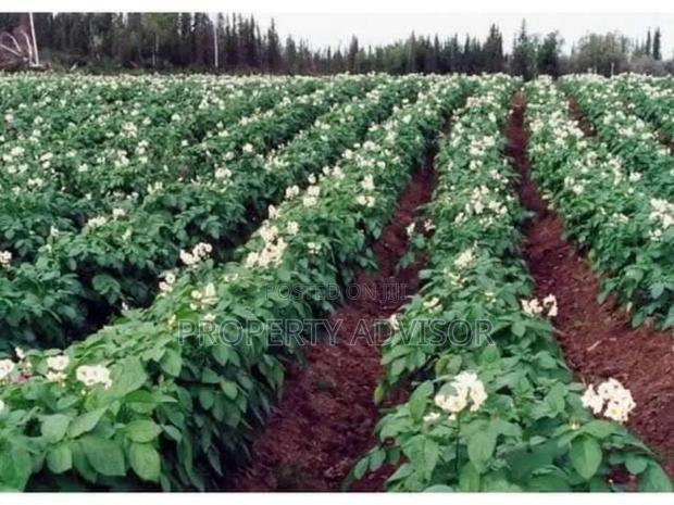 10 Acres Kisaju, Namanga Road Near Sigma Feeds