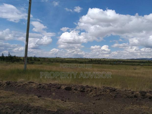 Kitengela Milimani Plots Size 50*100