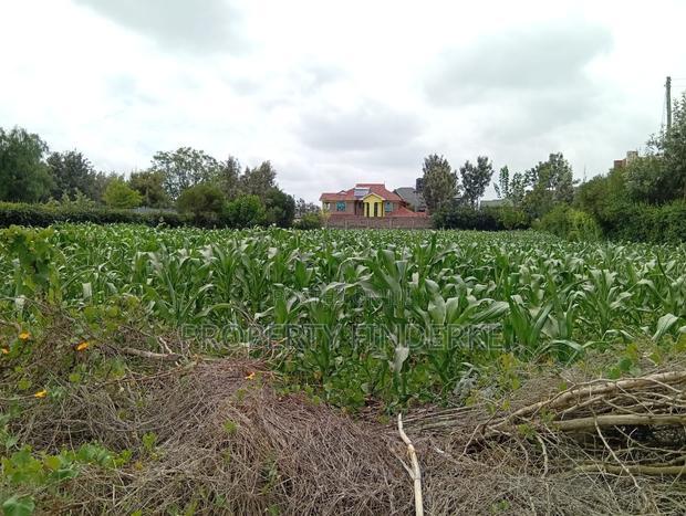 1/4 Acre Land for Sale in Kitengela