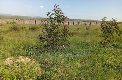 1/4 Acre Land for Sale in Chuna Estate