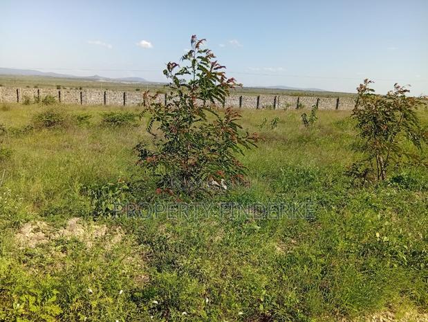 1/4 Acre Land for Sale in Chuna Estate