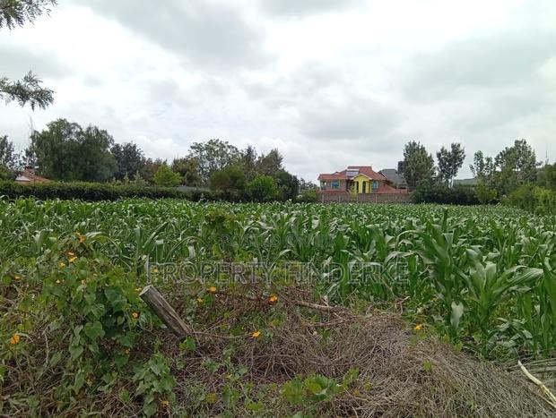 1/4 Acre Land for Sale in Kitengela