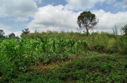 Exclusive Land for Sale in Karen